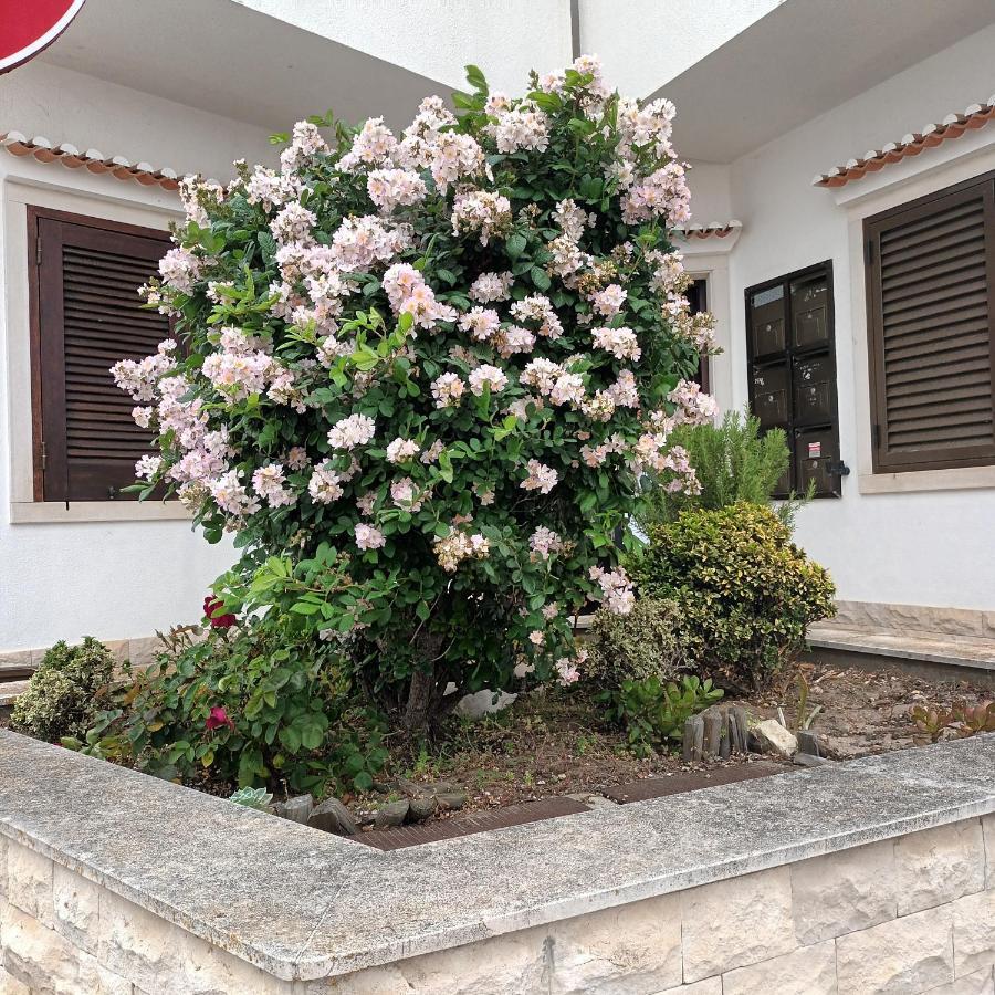 A Casa Na Foz ! West Is The Best ! Foz do Arelho Esterno foto